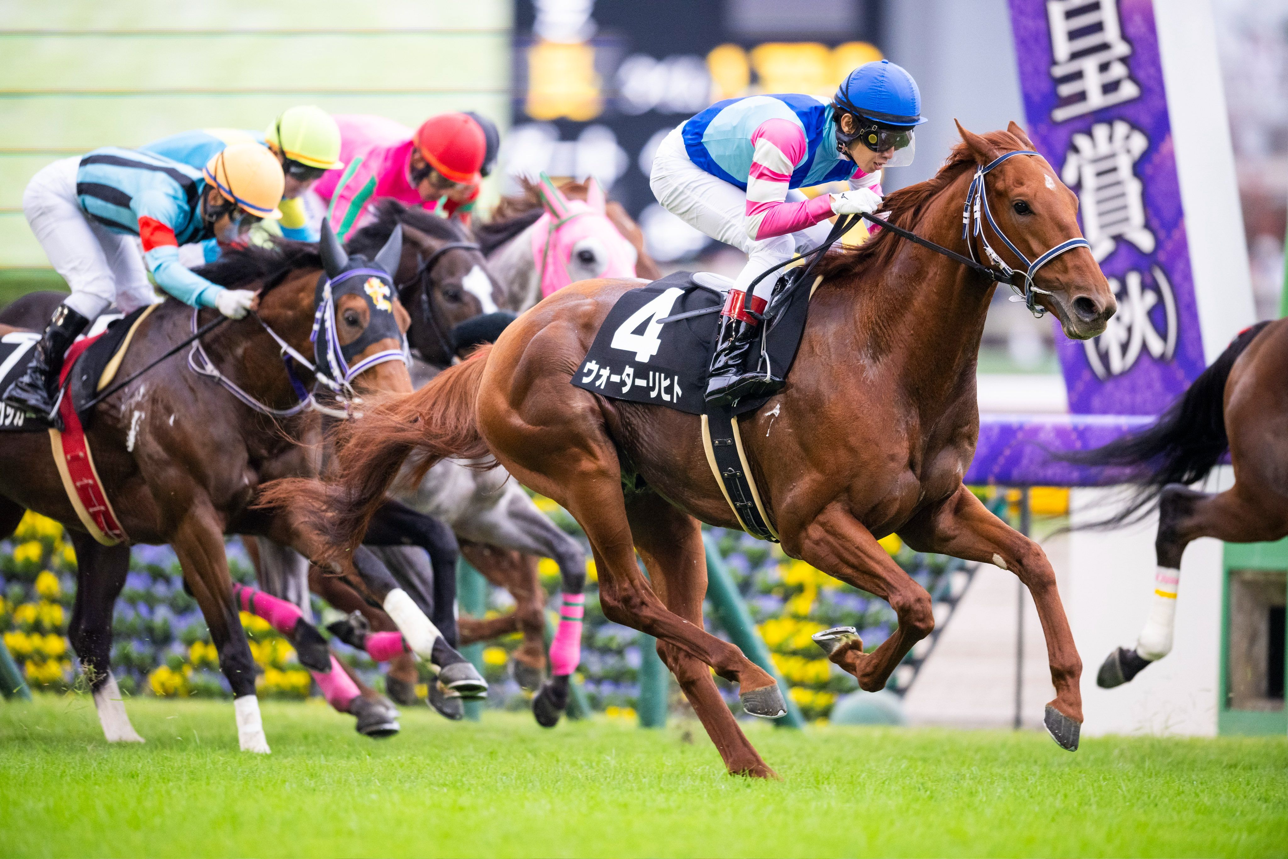 马赛主场战胜里昂,取得大胜 马赛主场战胜里昂,取得大胜