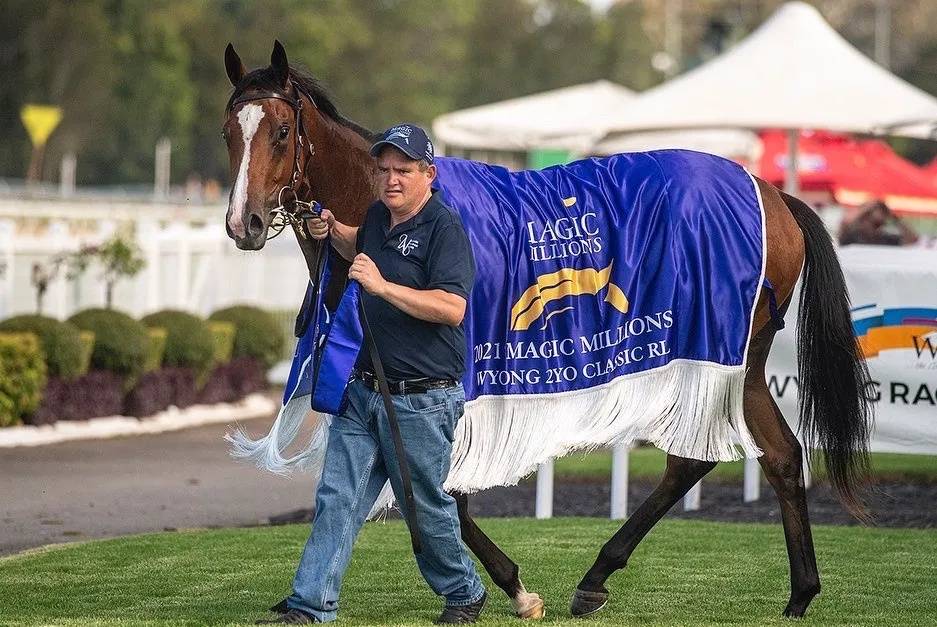 开云体育-关于熊野胜县五连胜，靠防守业去常胜将好夺冠的信息