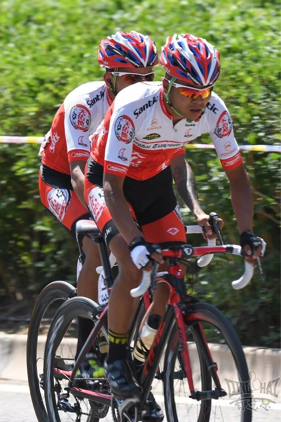 关于青海队喜迎绝佳表现,收获连胜的信息 关于青海队喜迎绝佳表现,收获连胜的信息