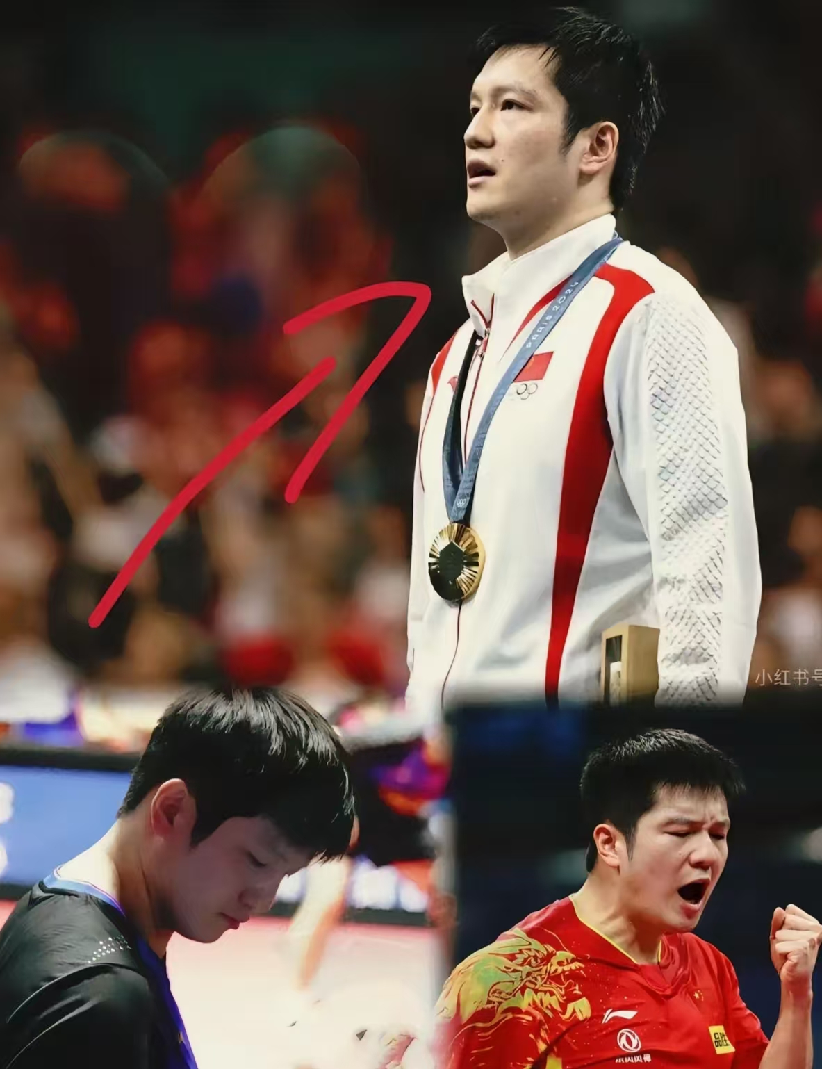 开云平台-中国队完胜日本队，樊振东状态火热